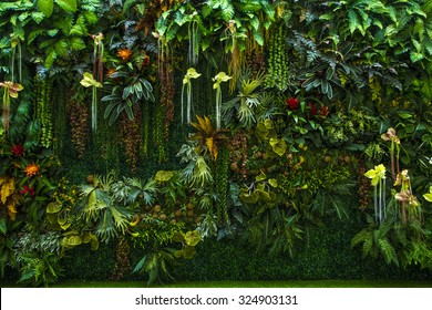 Fern And Plant Decorate On Wall