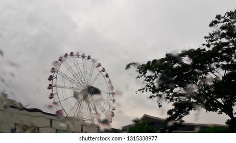 The Ferris wheel.