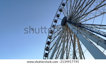 The ferris wheel at Downtown Miami - travel photography