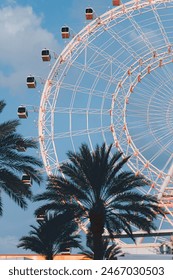 Ferris wheel and palm trees in florida