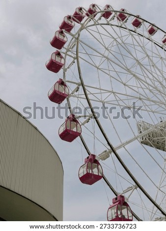 ferris wheel in the themepark