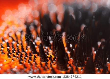 Ferrofluid black spikes. Reaction to a magnetic field. Magnetic liquid oil.