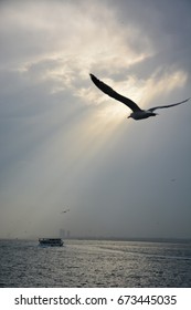 A Ferry Crossing The Bosphorus Straight In Istanbul Is Spotlighted By The Sun Breaking Through The Cloud Cover, As A Seagull, Emblematic For The City, Flies Overhead