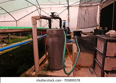 fertigation system for hydroponic vegetable production in greenhouse water evaporation