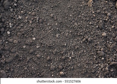 Fertil soil background