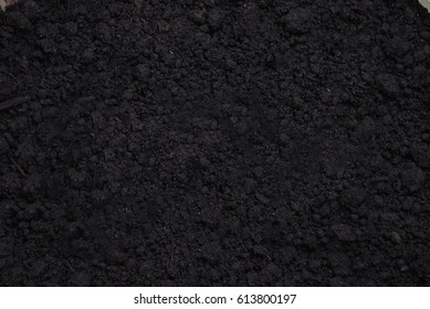 Fertil soil background texture, close up shoot