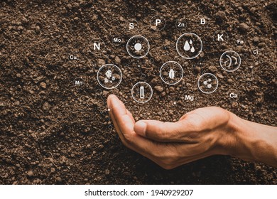 The fertile loamy soil for planting with the iconic technology in soil is the essential food of plants. - Shutterstock ID 1940929207