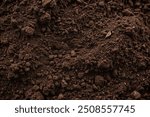 fertile soil close-up for sowing plants, details of agricultural soil to improve the quality of crop plants.Beautiful background of fertile land close up. The background is entirely made of black soil