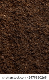 fertile soil close-up for sowing plants, details of agricultural soil to improve the quality of crop plants