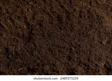 fertile soil close-up for sowing plants, details of agricultural soil to improve the quality of crop plants - Powered by Shutterstock