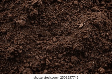 fertile soil close-up for sowing plants, details of agricultural soil to improve the quality of crop plants.Beautiful background of fertile land close up. The background is entirely made of black soil