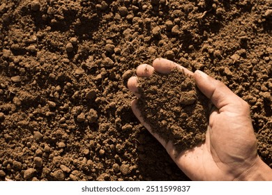 The fertile soil in the hands of a farmer is suitable for cultivation. - Powered by Shutterstock