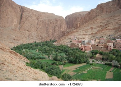 Fertile Valley