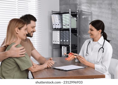 Fertility doctor demonstrating model of female reproductive system to couple in clinic. Patient consultation