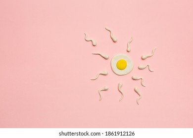 Fertilization concept, plasticine model of egg cell and sperm