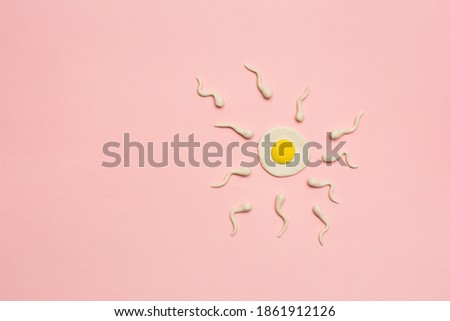 Fertilization concept, plasticine model of egg cell and sperm