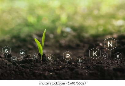 Fertilization And The Role Of Nutrients In Plant Life. Soil With Digital Mineral Nutrients Icon.