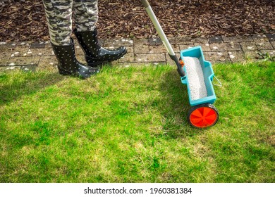 Fertilize Lawn - Detail Of Fertilizer Spreader On Green Lawn