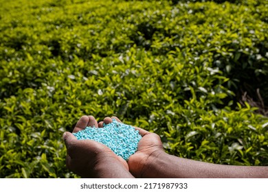 4,975 Fertilizer application Images, Stock Photos & Vectors | Shutterstock