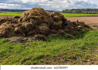 Fertilizer from cow manure and straw. Heap of manure, have been taken out on the field in early spring to fertilize fields. Podlasie , Poland .