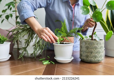 4,572 Fertilizer sticks Images, Stock Photos & Vectors | Shutterstock