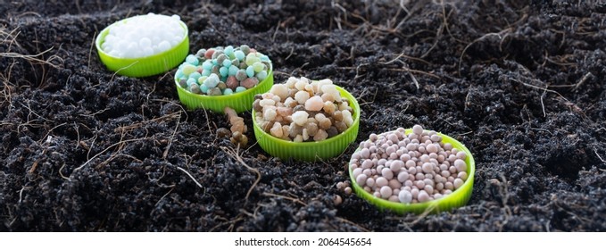 fertilizer pellets on soil that need fertilizer. The concept of plant care is the need for feeding with various fertilizers. NPK - Shutterstock ID 2064545654