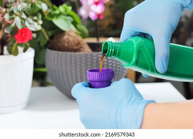 Fertilizers For Better Flowering And Growth Of Plants And Flowers Against The Background Of Flowers And Seedlings. Horticulture And Science.