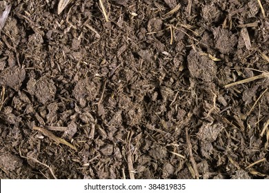 Fertilizers, Soil Caused By Animal Manure.