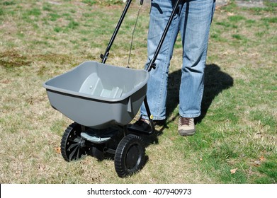 Fertilizing The Lawn By Fertilizer Spreader