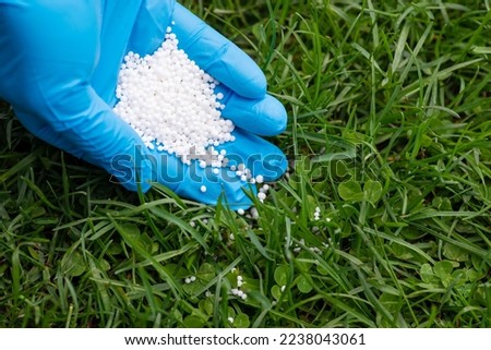 Fertilizing lawn with nitrates concept. Close up of hand spreading granular nitrogen fertilizer on the grass lawn