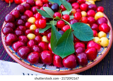 Festival of cherries - Kyustendil, Bulgaria.