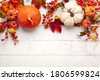 fall background white