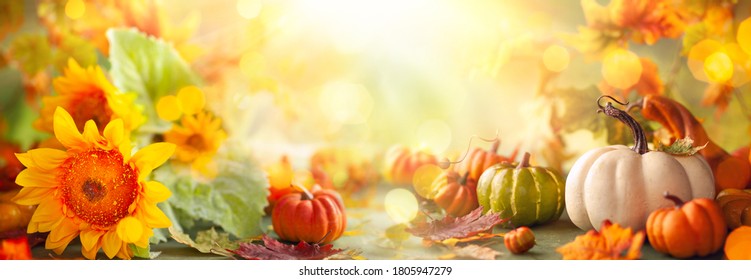 Festive autumn decor from pumpkins, flowers and fall leaves. Concept of Thanksgiving day or Halloween with copy space