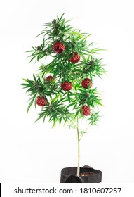 Festive Cannabis Christmas Tree On White Background