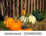 A festive display of squash