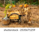 Festive fall display featuring an old wooden wheelbarrow filled with straw and orange pumpkins, next to a glass demijohn and dried corn stalks. Ideal background for Thanksgiving, autumn events, and rustic farm concepts.