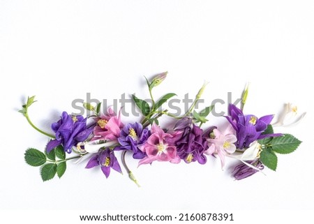 Festive floral background. floral layout of pink and violet flowers of aquilegia on a white background. Top view, flat lay. Flowers border and copy space. 