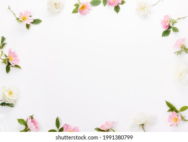 Festive Flower Wild Pink Rose Composition On The White Background. Overhead Top View, Flat Lay. Copy Space.