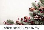 Festive foliage arrangement, pine cones and frosty red berries on evergreen christmas tree spruce fir branches, winter holiday decor on white background, natural seasonal Christmas holiday backdrop