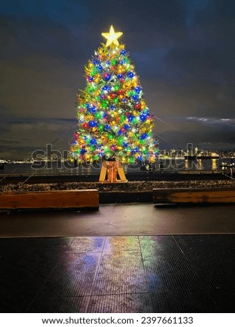 Festive holiday trees, sparkling magic.