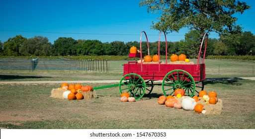 Festive Red Fall Wagon Carrying Pumpkins Ouside A Texas Winery