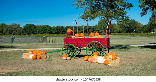 Festive Red Fall Wagon Carrying Pumpkins Ouside A Texas Winery