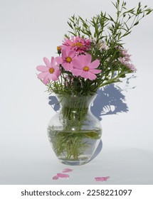 Festive, romantic concept. Bouquet of pink
 and white garden flowers in a transparent glass vase on a pastel, white background.Copy space, space for text, postcard, background. - Shutterstock ID 2258221097