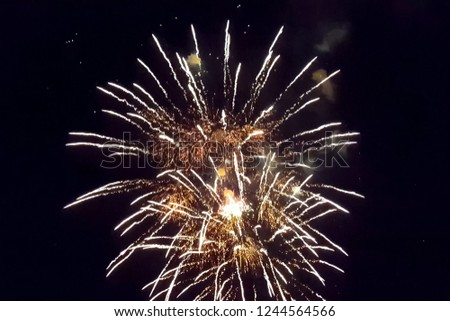 Festive salute in the night sky. Explosions of fireworks.