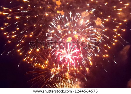 Festive salute in the night sky. Explosions of fireworks.