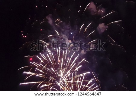Festive salute in the night sky. Explosions of fireworks.