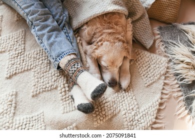 Festive socks on  legs and cute golden retriever dog on carpet. Family relax time. Winter Christmas holidays and hygge concept.  Atmospheric moments lifestyle.