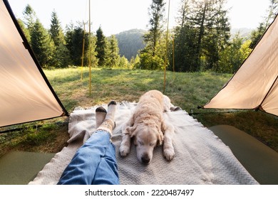 Festive socks on legs and a cute golden retriever dog on a carpet in tent. Spending time in the mountains. Family relax time. Scandinavian friluftsliv and hygge concept. Atmospheric moments lifestyle. - Shutterstock ID 2220487497