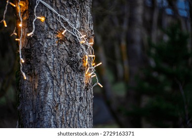 Festive warm string lights wrapped around a tree trunk in a dark evening garden with soft bokeh background