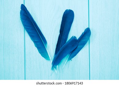 154 Fether pen Images, Stock Photos & Vectors | Shutterstock